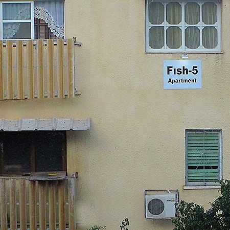 Fish 5 Apartment Tiberias Room photo